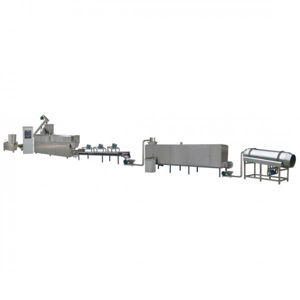 Floating Fish Feed Pellet Manufacturing Extruder Machine Price Fish Feed Mill Plant Production Line
