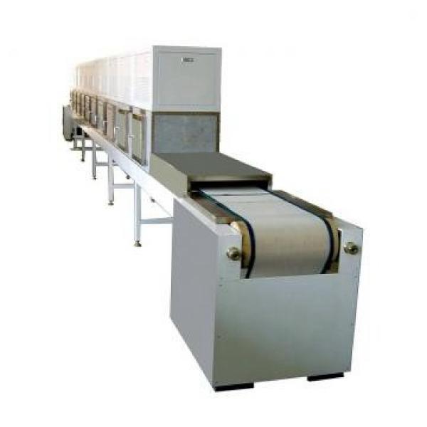 Low Price High Quality Thawing Machine for Frozen Fish /Meat